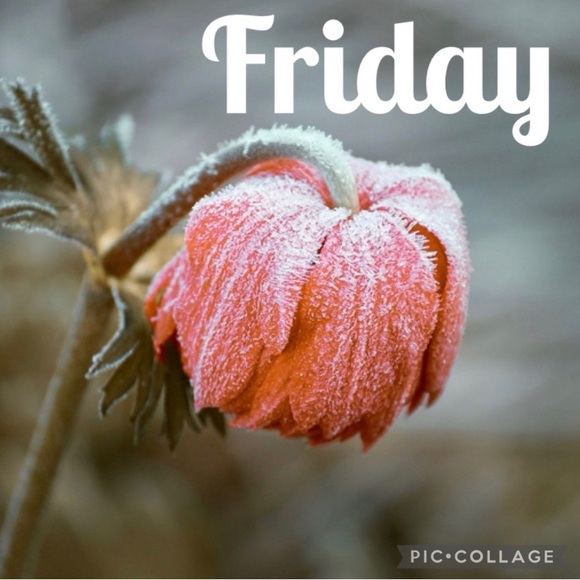 ⭐️FRIDAY SHARE GROUPS⭐️ - Picture 6 of 6